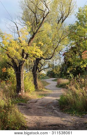 Long Beautiful Autumn Road In The Park.
