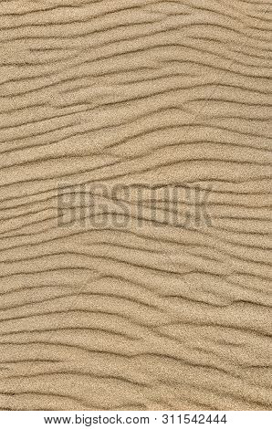 Sand Ripple Texture. Sandy Background. Sand Close-up.