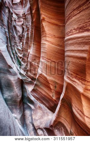 Zebra Canyon is a vivid striped and very narrow gorge. The awsome zig-zag shapes were created by water. Grand Staircase-Escalante National Monument, Utah. USA