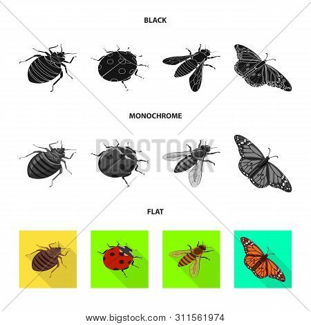 Vector Design Of Nature And Wildlife Icon. Collection Of Nature And Wing Stock Vector Illustration.