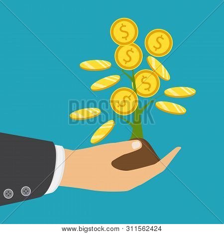 The Hand Of A Businessman Who Pours A Money Tree. The Concept Of Earnings, Success In Work, Money. V