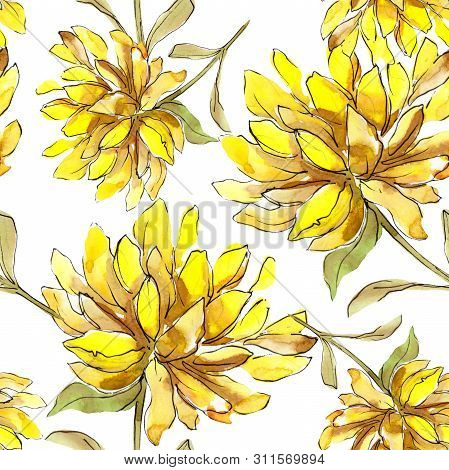 Aster Floral Botanical Flowers. Watercolor Background Illustration Set. Eamless Background Pattern.