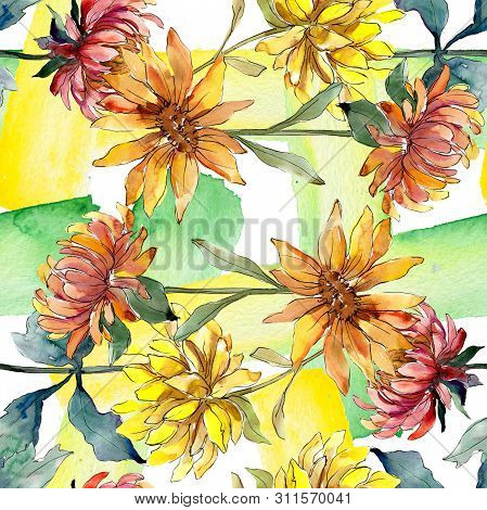 Aster Floral Botanical Flowers. Watercolor Background Illustration Set. Eamless Background Pattern.