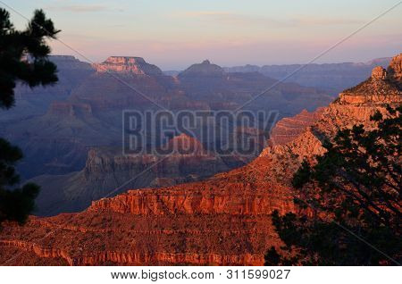 Tree Framed Sunset. Grand Canyon, Az In The Sunset. Framed By Trees, Blue Sky, Red Rock. Wispy Cloud