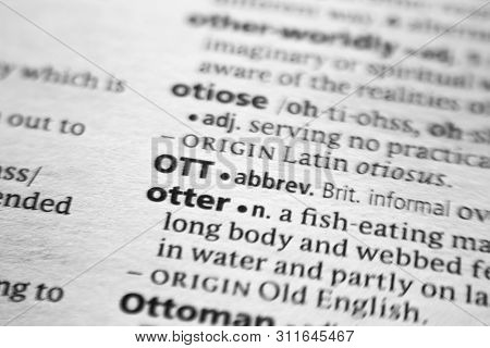 Word Or Phrase Ott In A Dictionary