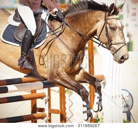 A Beautiful Horse Of A Bulan Suit With A Dark Mane Fluttering In The Wind Jumps Over The Brown Barri