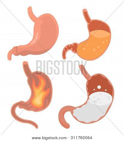 Stomach Icons Set. Isometric Set Of Stomach Vector Icons For Web Design Isolated On White Background