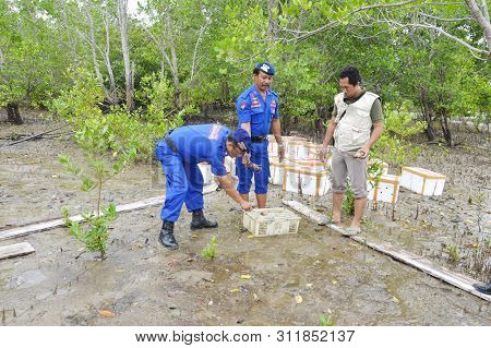 The Release Of Illegal Crab
