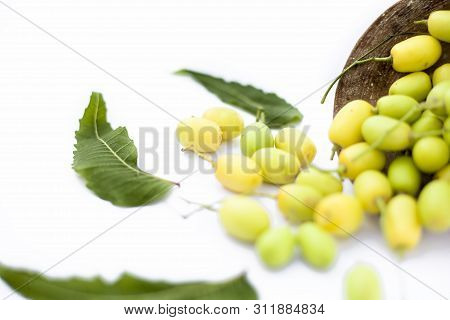 Neem Fruit Or Nim Fruit Or Indian Lilac Fruit In A Clay Bowl Isolated On White Along With Some Fresh