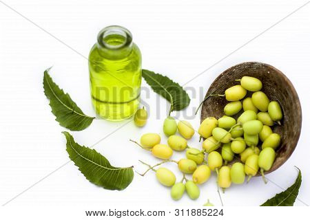 Fresh Green Neem Fruit Of Indian Lilac Fruit In A Clay Bowl Isolated On White Along With Its Oil In