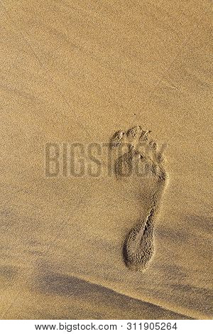 Single Human Barefoot Footprint Of Right Foot In Brown Yellow Sand Beach Background, Summer Vacation