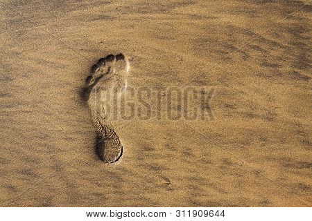 Single Human Barefoot Footprint Of Left Foot In Brown Yellow Sand Beach Background, Summer Vacation