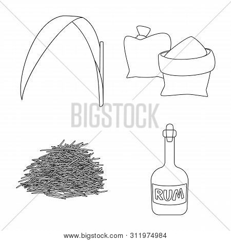 Isolated Object Of Sugar And Field Icon. Set Of Sugar And Plantation Vector Icon For Stock.