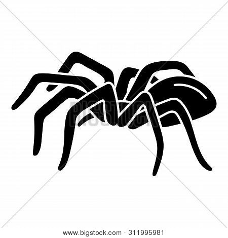Ground Spider Icon. Simple Illustration Of Ground Spider Vector Icon For Web Design Isolated On Whit