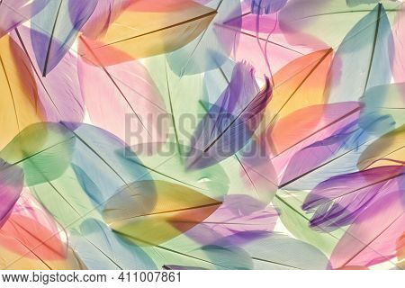 Feathers Multicolored Background In Pastel Colors. Feathers Pattern. Natural Pastel Feathers Set In 