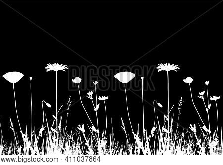 Vector Seamless Border With Oxeye Daisy, Corn Poppy And Meadow Vetchling In Grass Isolated On Black 