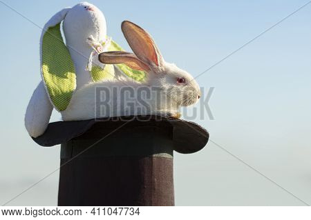 White Easter Bunny. Magician Rabbit With Plush Toy