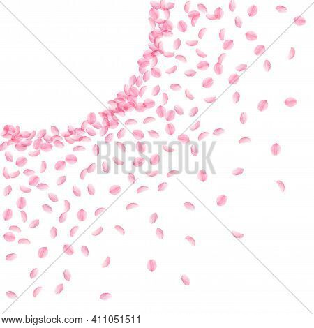 Sakura Petals Falling Vector Photo Free Trial Bigstock