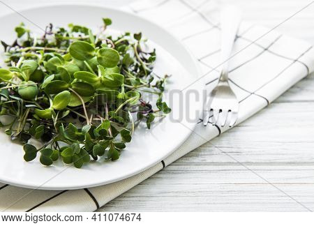 Micro Greens In A Plate On A White Background, Micro Green, Healthy Food Concept