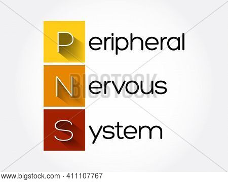 Pns - Peripheral Nervous System Acronym, Medical Concept Background