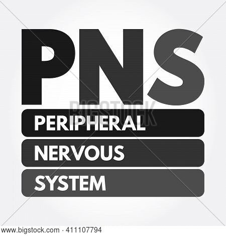 Pns - Peripheral Nervous System Acronym, Medical Concept Background