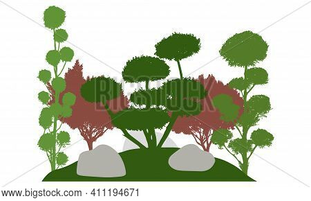 Silhouette Of  Garden With Decorative Trees. Beautiful Bonsai, Cypress And Other Coniferous Trees. V