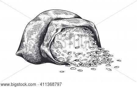 Hand Drawn Bag With Wheat. Black And White Sketch Of Rough Canvas Sack Full Of Grain. Scattered Oats