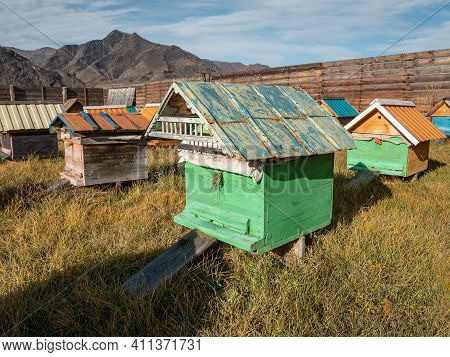 Apiary In The Village In The Open Air. Altai Mountains. Kuyus Village.