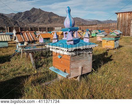 Apiary In The Village In The Open Air. Altai Mountains. Kuyus Village.