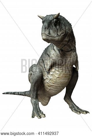 3D Rendering Carnotaurus Sastrei Dinosur On White
