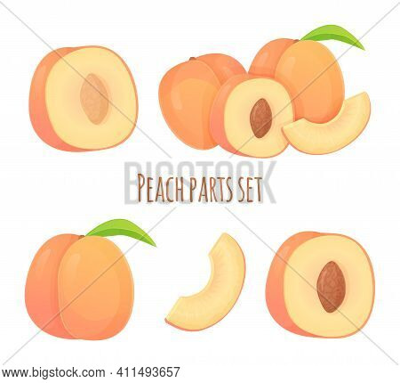 Set Of Peaches In Different Shapes, Slice, Half With Seed And Without , Whole Fruit. Can Be Used Fo 