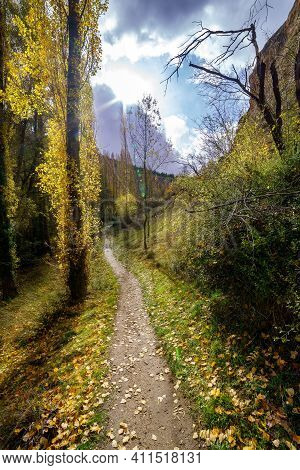 Autumn Landscape With Sun From Front To Backlight, Leaves On The Ground, Trees And Path To The Horiz