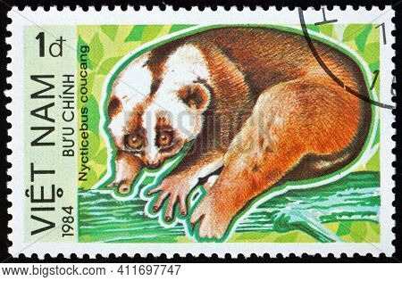 Vietnam - Circa 1984: A Stamp Printed In Vietnam Shows Greater Slow Loris, Nycticebus Coucang, Is A 