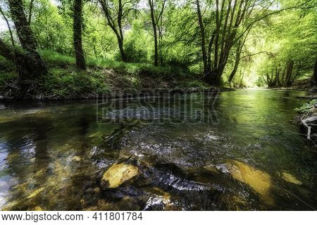 Fairytale Landscape In Green And Gold Tones With A Stream Between The Trees And Reflections Of The F
