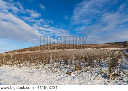 Winter landscape near Popice, Southern Moravia, Czech Republic
