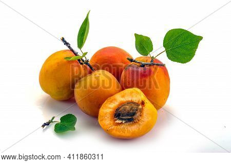 Isolated Apricot. Fresh Cut Apricot Fruits Isolated On White Background