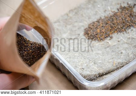 Close Up Microgreen Seeds In Pack On Background Of Dry Linen Growing Mat With Seeds In Plastic Conta