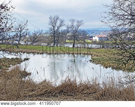 Flach Lake Or Flachsee In The Natural Protection Zone Aargau Reuss River Plain (naturschutzzone Aarg