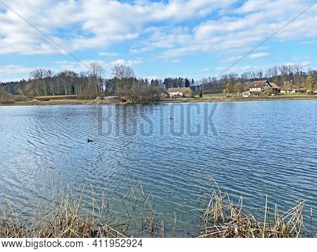 Flach Lake Or Flachsee In The Natural Protection Zone Aargau Reuss River Plain (naturschutzzone Aarg