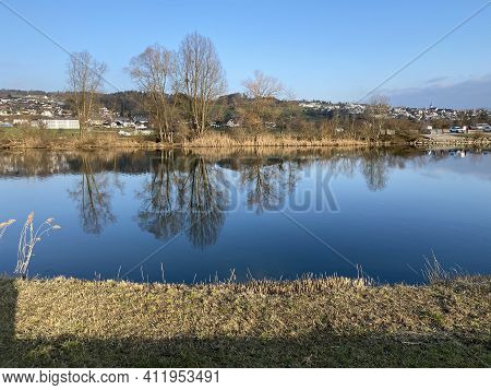 Flach Lake Or Flachsee In The Natural Protection Zone Aargau Reuss River Plain (naturschutzzone Aarg