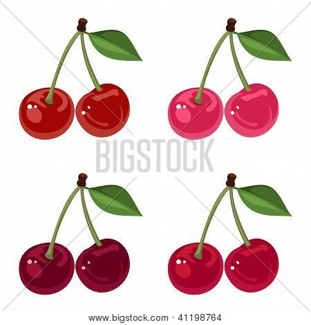 Set di quattro grappoli di ciliegie. Illustrazione vettoriale.