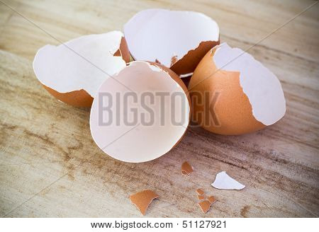 Eggs