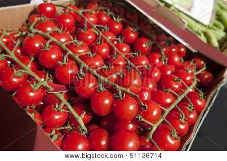 Fresh tomatoes on display at store