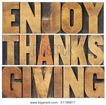 Enjoy  Thanksgiving  - isolated text in vintage letterpress wood type blocks scaled to a rectangle shape