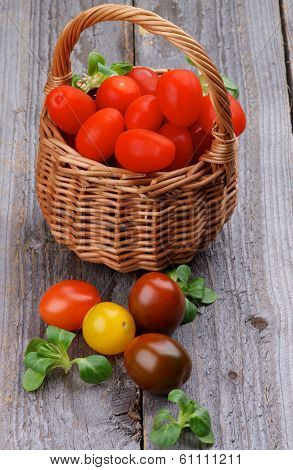 Various Tomatoes