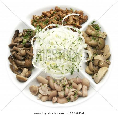 assorted mushrooms