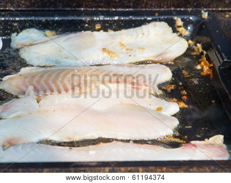 Grilled Fillet