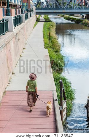 Cherry Creek trail on typical summer wekeend.