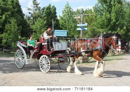 MUSKOGEE, OK - MAY 24: Visitors enjoy horse  and buggy ride at the Oklahoma 19th annual Renaissance Festival on May 24, 2014 at the Castle of Muskogee in Muskogee, OK. 