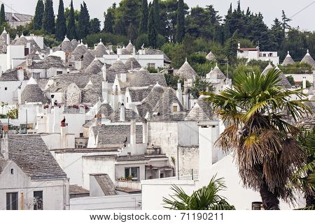 Alberobello - Italy, puglia